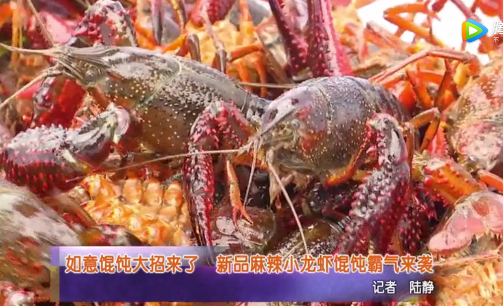 蘇州電視臺報道：如意餛飩大招來了！新品麻辣小龍蝦餛飩霸氣來襲